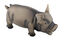Anka - Jouet Cochon en Latex Pour Chiens - 20cm Indicateur image numéro 1