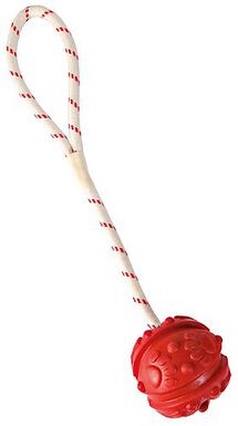Trixie - Jouet Aqua Toy Balle sur Corde flottante - 35 cm