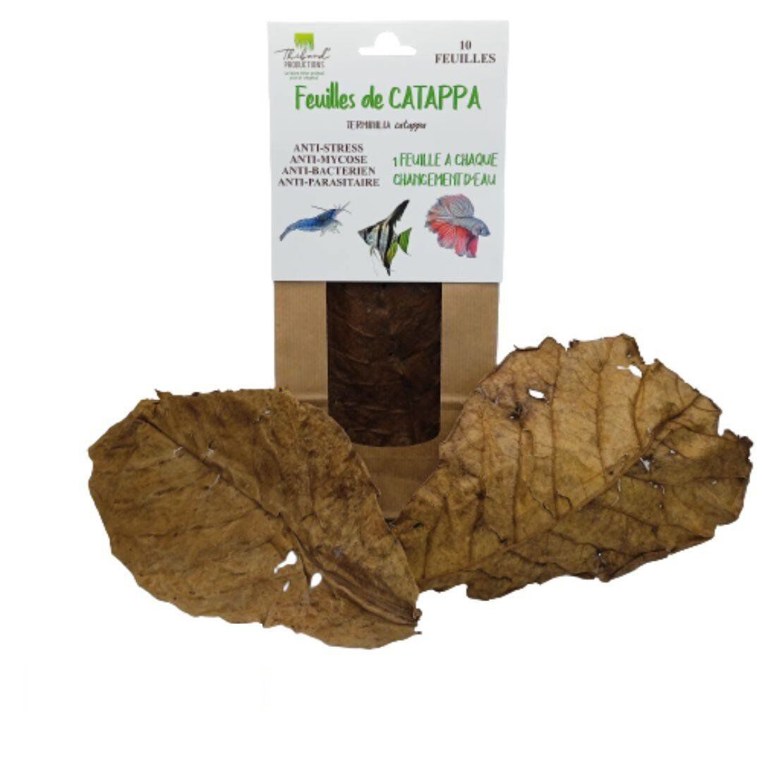 Thibaud - Feuilles de Catappa pour Poissons d'Eau Douce - x10 Image num&eacute;ro 1