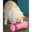 Pipolino - Jouet Distributeur de Croquettes PIPOLINO M pour Chats - Blanc Indicateur image numéro 3