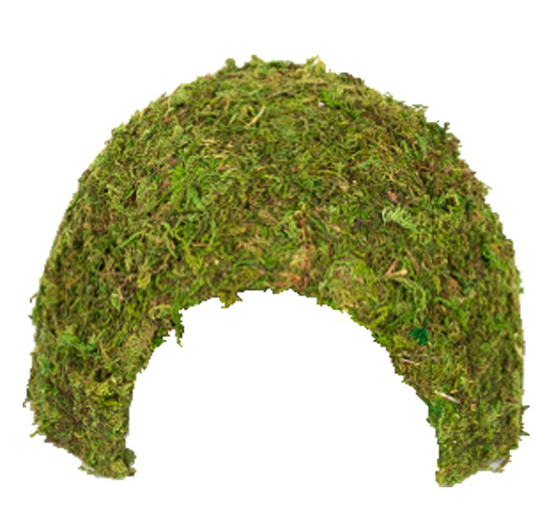 Reptizoo - Décor Dôme Mousse Naturelle - 11x11x9cm Image numéro 1 Reptizoo - Décor Dôme Mousse Naturelle - 11x11x9cm Image numéro 1