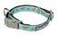 FuzzYard - Collier Summer Punch pour Chien - L Indicateur image numéro 1