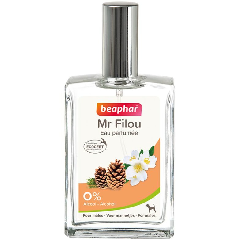 Beaphar - Eau de toilette mâle MR FILOU pour chiens - 50ml Image numéro 1 Beaphar - Eau de toilette mâle MR FILOU pour chiens - 50ml Image numéro 1
