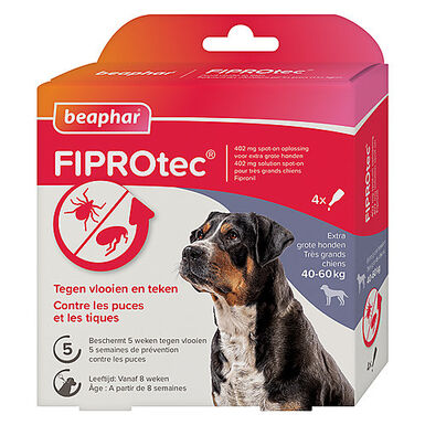 Beaphar - Pipettes Antiparasitaires Fiprotec pour Très Grand Chien - X4