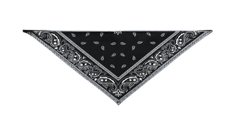Wouapy - Bandana Noir pour Chiens - T1 Image numéro 1 Wouapy - Bandana Noir pour Chiens - T1 Image numéro 1