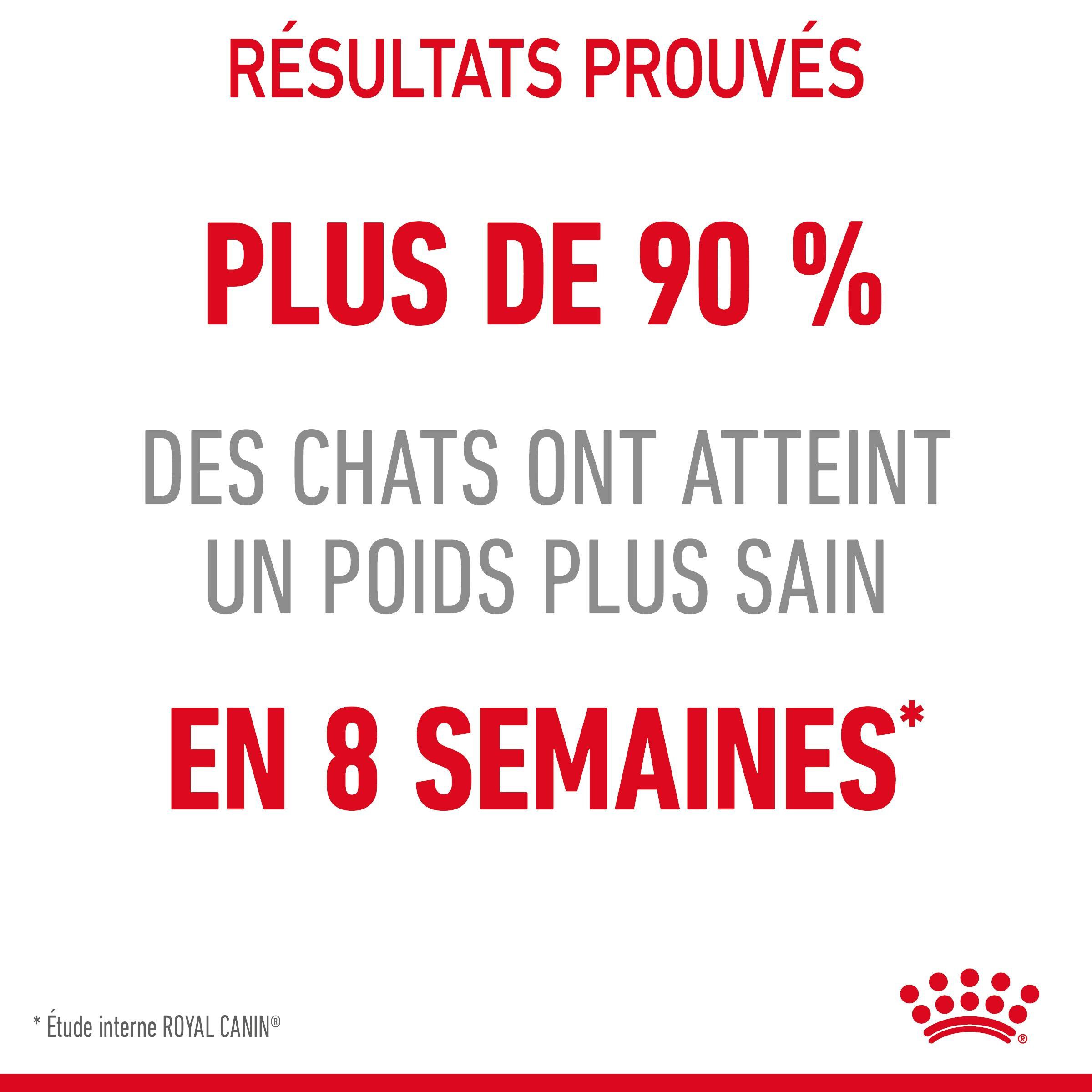 Royal Canin - Croquettes Light Weight Care pour Chat - 8Kg Image num&eacute;ro 4