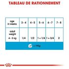 Royal Canin - Boîte Starter Mousse Mother & Babydog en Patée pour Chien - 195g image number null