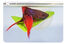 Zoomed - Feuille artifcielle avec ventouse pour Betta Indicateur image numéro 2