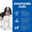 Hill's Science Plan - Adult Croquettes Pour Chien A L'agneau Et Riz  - 18kg Indicateur image numéro 6