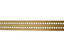 Gotoo - Collier Essentials en Nylon Premium Beige pour Chien - XS Indicateur image numéro 5