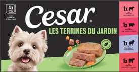 Cesar - Terrine 4 Vari&eacute;t&eacute;s Viandes et L&eacute;gumes pour Chiens - 4x300g