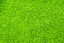 Leeby - Griffoir Funny Avocat pour Chats - 35x33x39,5cm Indicateur image numéro 7