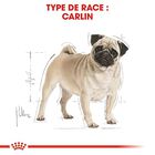 Royal Canin - Croquettes Carlin pour Chien Adulte - 1,5Kg image number null