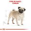 Royal Canin - Croquettes Carlin pour Chien Adulte - 1,5Kg Indicateur image numéro 3