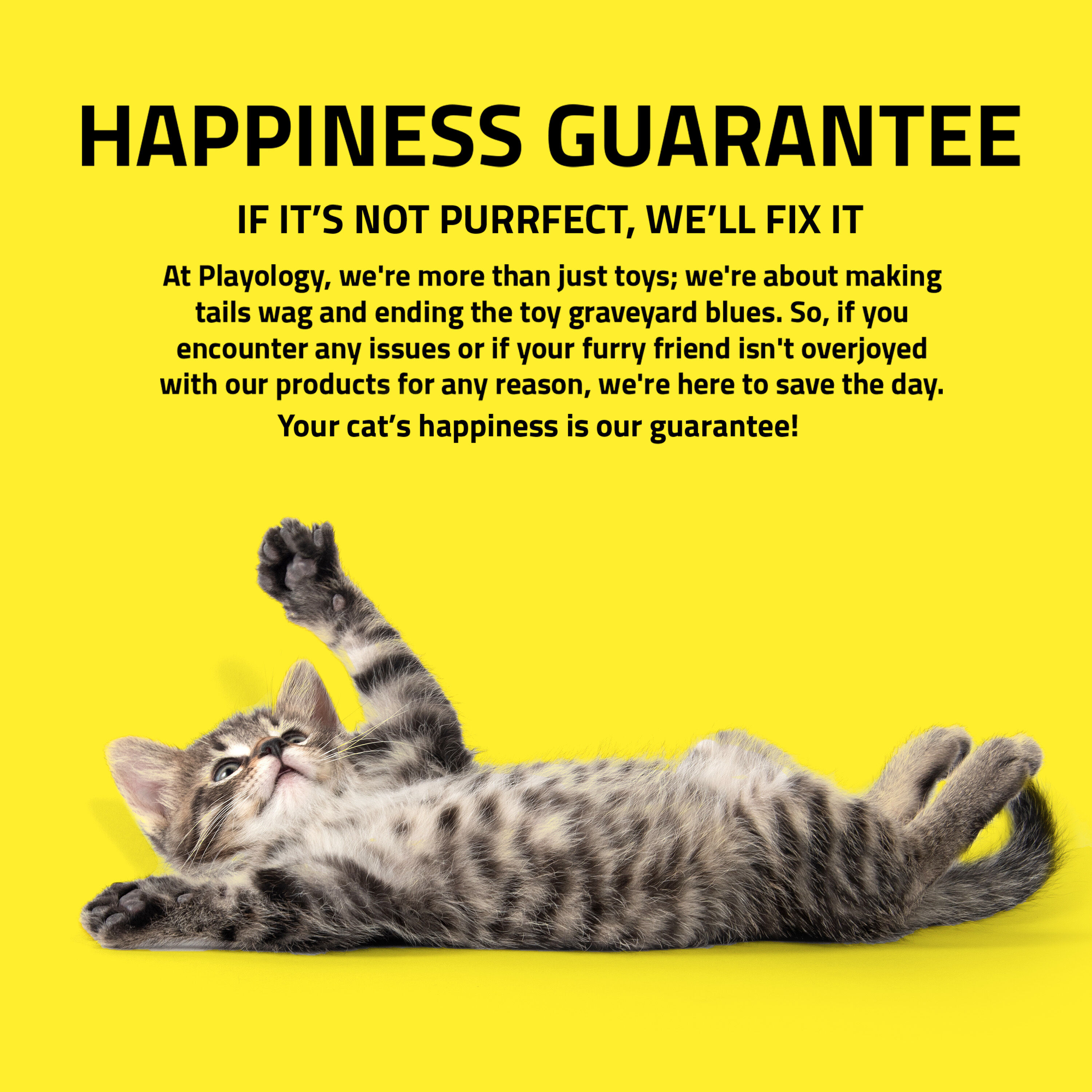 Playology - Jouet P&ecirc;che en Feutre Pack Economique pour Chats Image num&eacute;ro 6