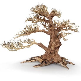 Amtra -  Racine Naturelle Oriental Wind 4 - S