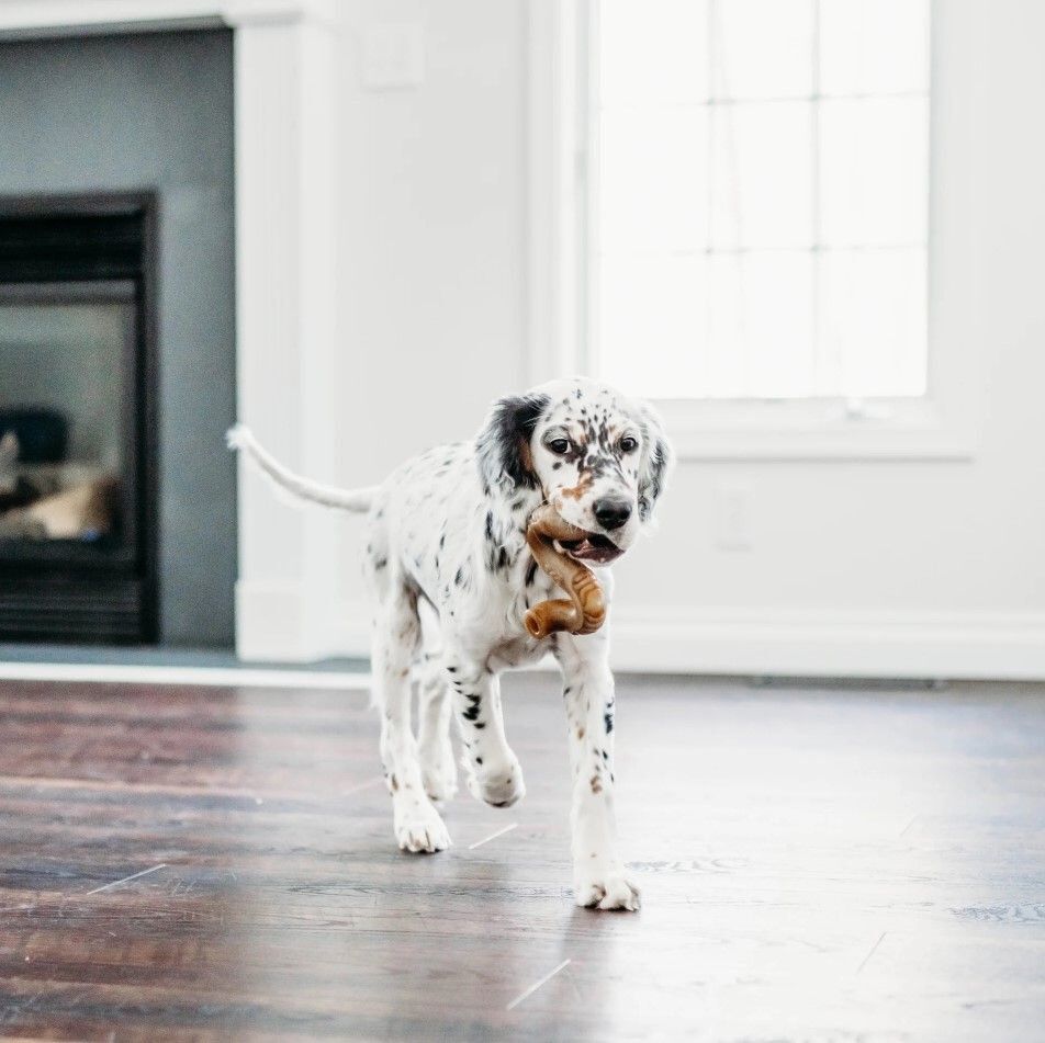 Benebone - Jouet Tripe Bone B&oelig;uf - S Image num&eacute;ro 6