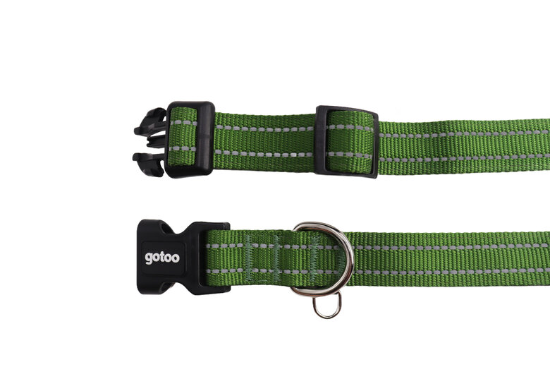 Gotoo - Collier en Nylon Premium Vert pour Chien - XS Image numéro 2 Gotoo - Collier en Nylon Premium Vert pour Chien - XS Image numéro 2