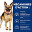 Hill's - Croquettes Prescription Diet Gastro Intestinal Biome pour Chiens - 10Kg Indicateur image numéro 5
