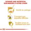Royal Canin - Croquettes Yorkshire Terrier pour Chien Adulte - 3Kg Indicateur image numéro 5