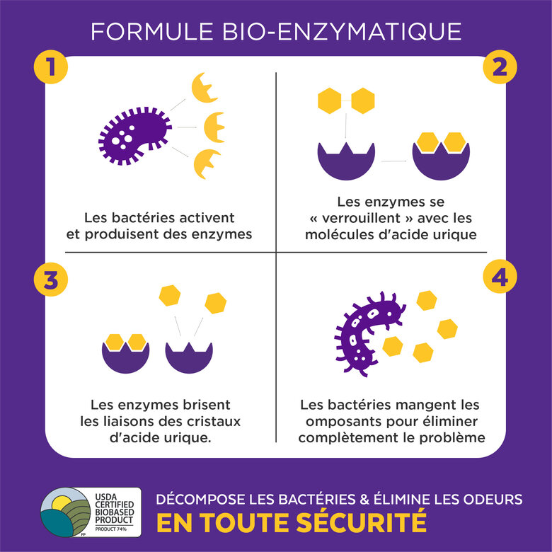 Urine Off - Destructeur Biotec Urine Off Chat - 500ml Image numéro 4 Urine Off - Destructeur Biotec Urine Off Chat - 500ml Image numéro 4