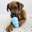 KONG - Friandises Snacks - S pour Chiot Indicateur image numéro 6