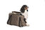 Bobby - Sac Promenade Bicolore Choco pour Chiens - M Indicateur image numéro 1
