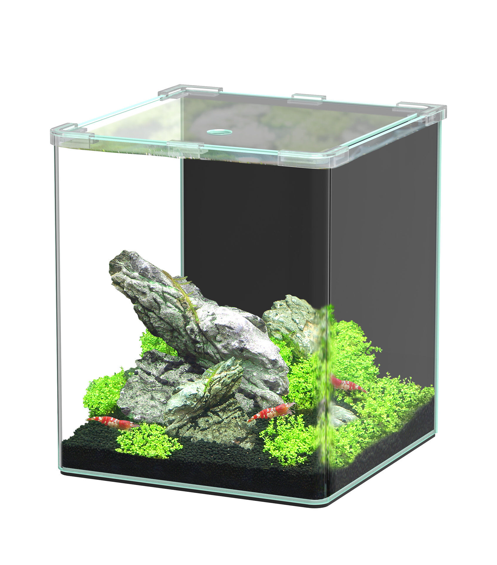 Aquatlantis - Aquarium Kubus Curve 20L Basic Image num&eacute;ro 1