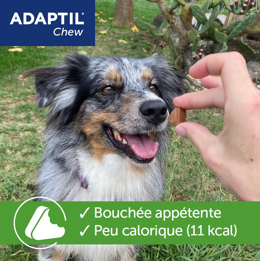 Adaptil - Bouch&eacute;es Moelleuses d'Appaisement Adaptil Chew pour Chiens - x30 Image num&eacute;ro 5