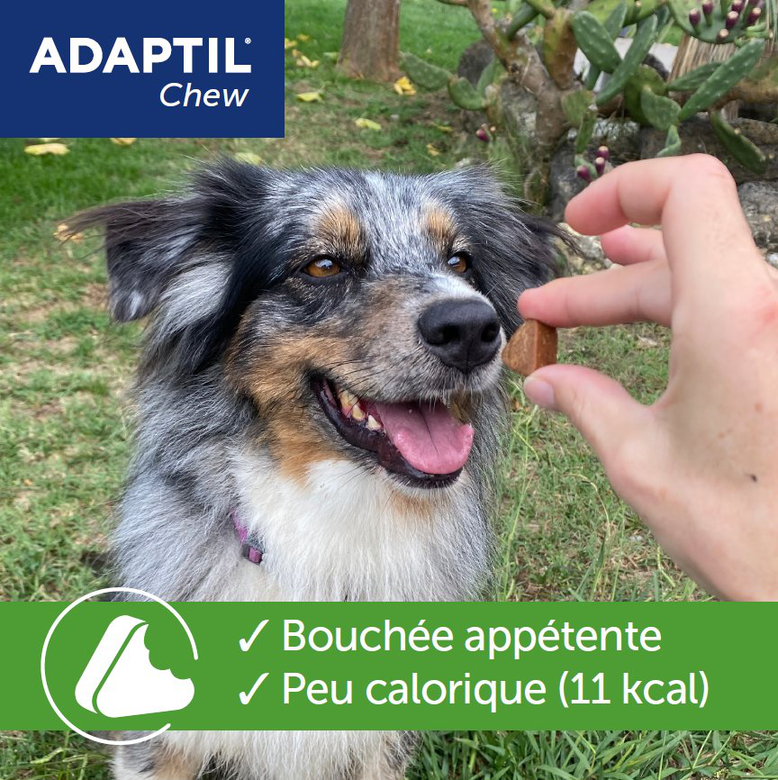 Adaptil - Bouchées Moelleuses d'Appaisement Adaptil Chew pour Chiens - x30 Image numéro 5 Adaptil - Bouchées Moelleuses d'Appaisement Adaptil Chew pour Chiens - x30 Image numéro 5