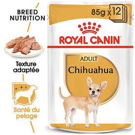 Royal Canin - Pâtée en mousse CHIHUAHUA ADULT pour chiens - 12X85G