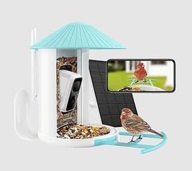 Birdfy -  Mangeoire Intelligente Avec Caméra pour Oiseaux