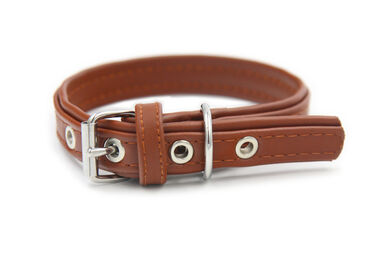 Matteo - Collier Cuir de Cactus Marron pour Chiens