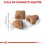 Royal Canin - Croquettes Sensible 33 pour Chat Adulte - 2Kg Indicateur image numéro 4