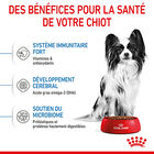 Royal Canin - Croquettes Puppy X-Small pour Chiots - 3Kg image number null
