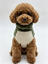 Gotoo - Manteau Polaire Vert pour Chiens - 30cm Indicateur image num&eacute;ro 4