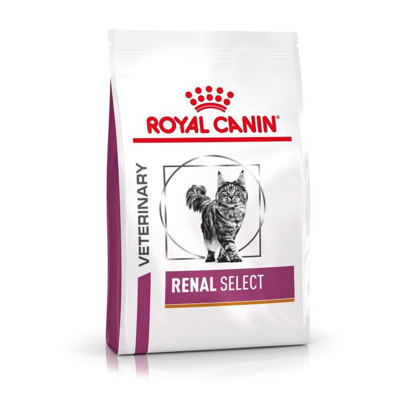Royal Canin - Croquettes Veterinary Renal Select pour Chats - 2Kg image number null
