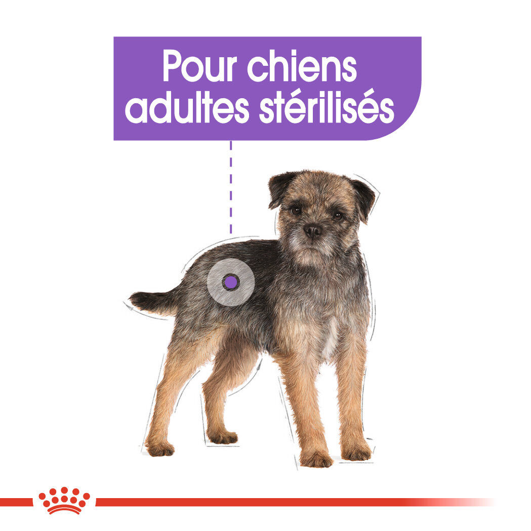 Royal Canin - Sachets Sterilised en Mousse pour Chien - 12X85g Image num&eacute;ro 3