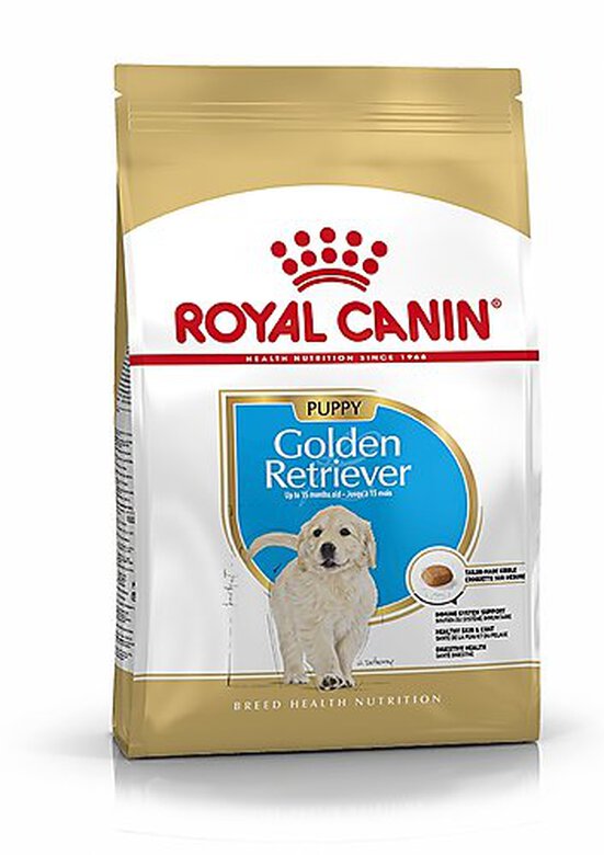 Royal Canin - Croquettes Golden Retriever Junior pour Chiot - 12Kg image number null