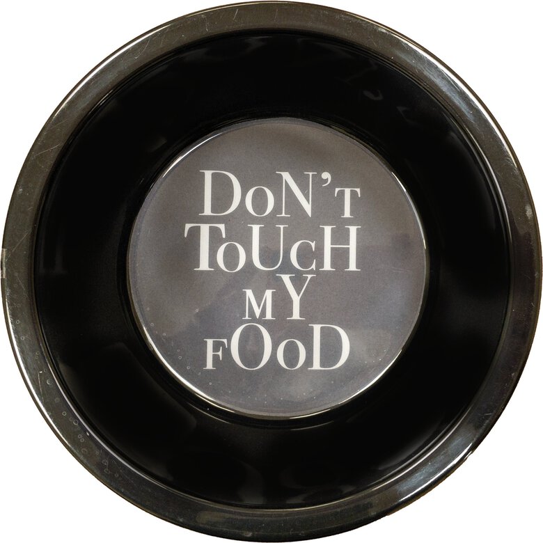 Croci - Gamelle Geometrical pour Chiens - 400ml Image numéro 2 Croci - Gamelle Geometrical pour Chiens - 400ml Image numéro 2