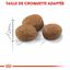 Royal Canin - Croquettes Sterilised 7+ pour Chat Senior - 400g Indicateur image numéro 5