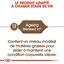 Royal Canin - Croquettes Senior Sterilised 12+ pour Chat Senior - 2 Kg Indicateur image numéro 3