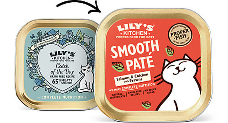Lily's Kitchen - Barquette Terrine de Poisson pour Chats - 85g Image numéro 2 Lily's Kitchen - Barquette Terrine de Poisson pour Chats - 85g Image numéro 2