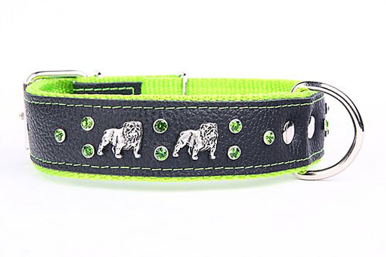 Yogipet - Collier Bulldog Cuir Crystal T65 48/58cm pour Chien - Vert image number null