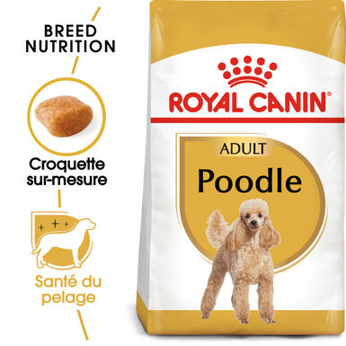 Royal Canin - Croquettes Poodle Adult pour Chien