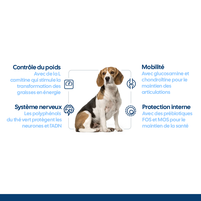Nath - Croquettes Medium/Maxi Adult Weight Control au Poulet pour Chien - 3Kg Image num&eacute;ro 2