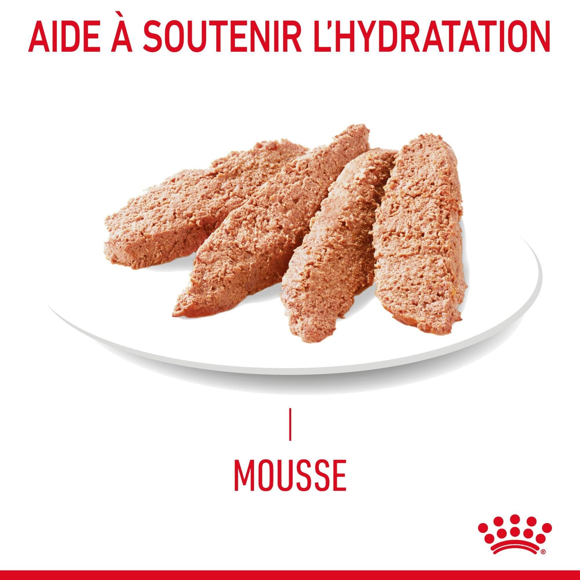 ROYAL CANIN - P&Acirc;TEE HAIR & SKIN EN MOUSSE CHAT ADULTE PEAU ET PELAGE - 12x85g Image num&eacute;ro 5