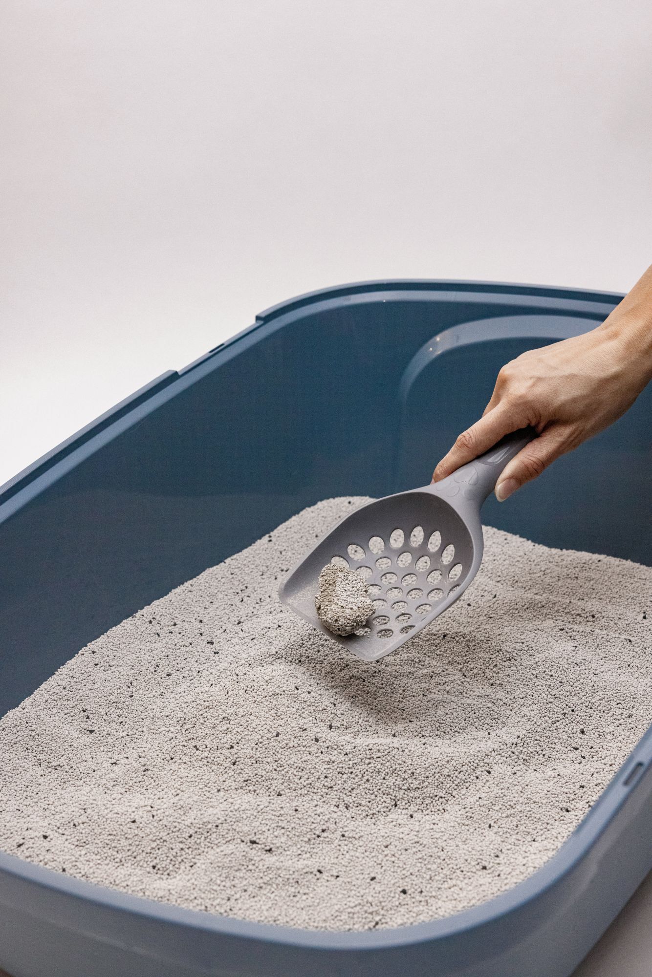 Home N'Pet - Liti&egrave;re Agglom&eacute;rante Carbon 350% pour Chats - 5L Image num&eacute;ro 3