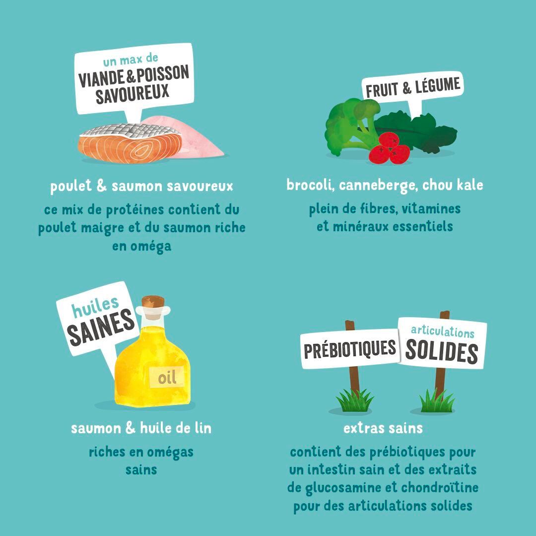 Edgard & Cooper - Bo&icirc;te au Poulet et Saumon pour Chien - 400g Image num&eacute;ro 4