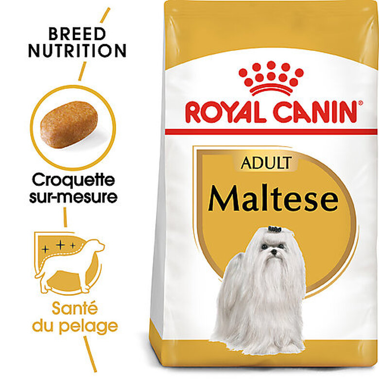 Royal Canin - Croquettes Maltese Adult Bichon Maltais pour Chiens - 1,5Kg image number null